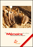Mémoire de silex Mémoire de silex